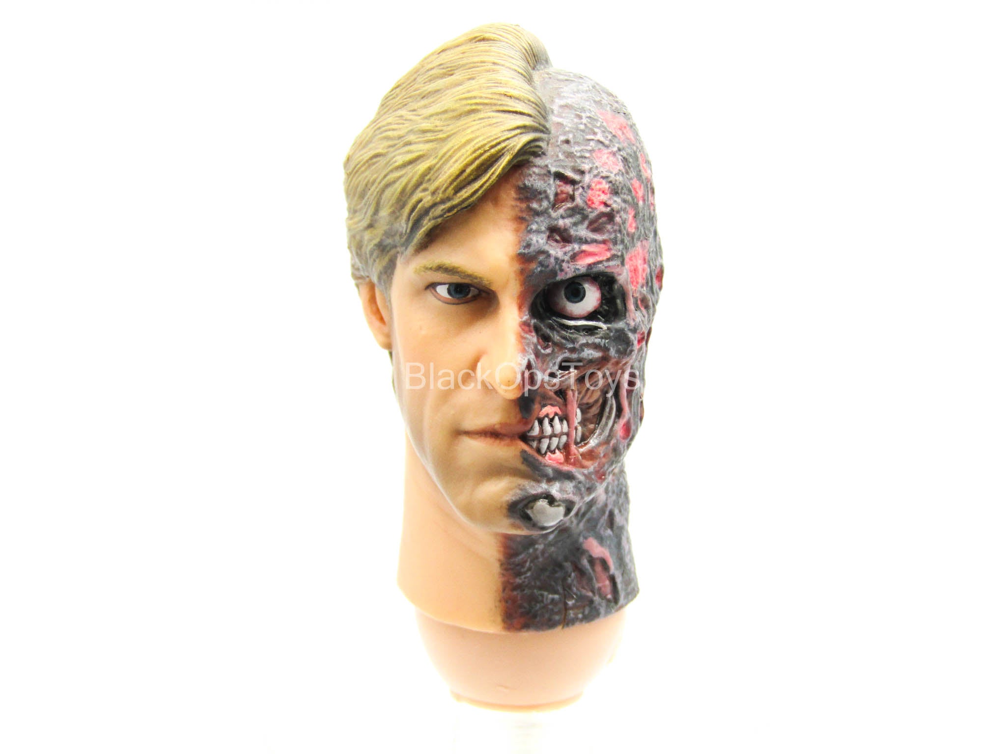 Harvey Dent - Male Head Sculpt w/Burn – BlackOpsToys