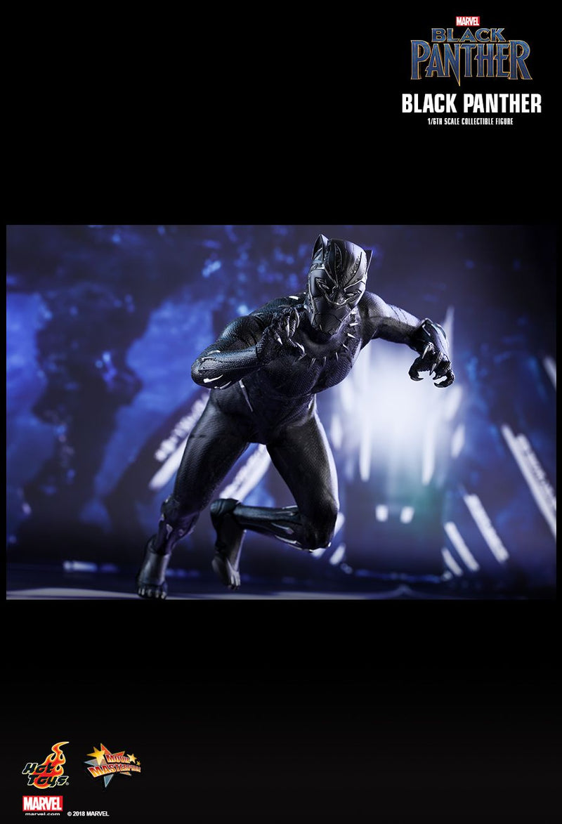 Load image into Gallery viewer, Black Panther - T&#39;Challa/Black Panther - MIOB (Read Desc)
