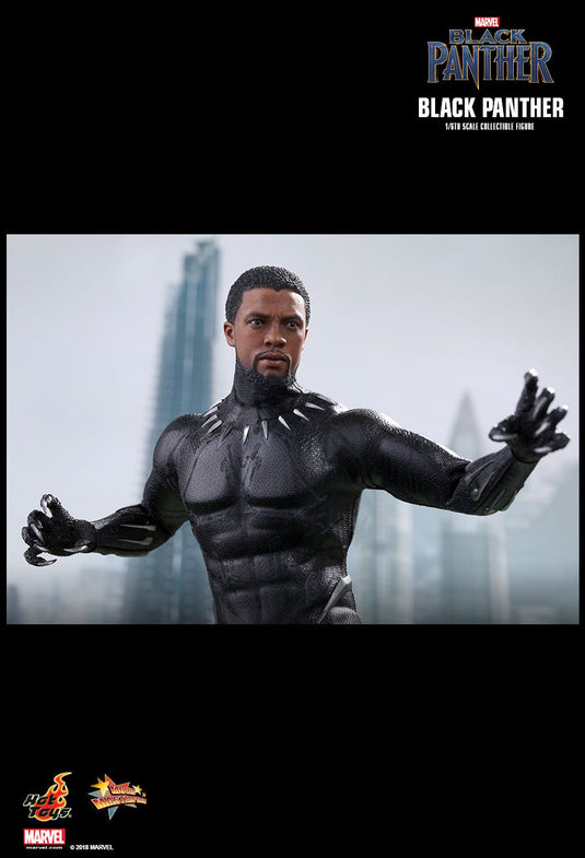 Black Panther - T'Challa/Black Panther - MIOB (Read Desc)