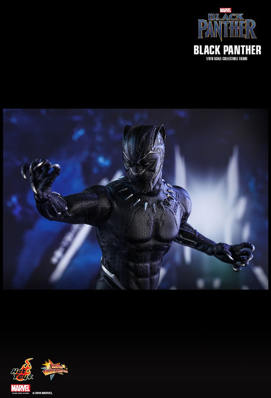 Black Panther - T'Challa/Black Panther - MIOB (Read Desc)