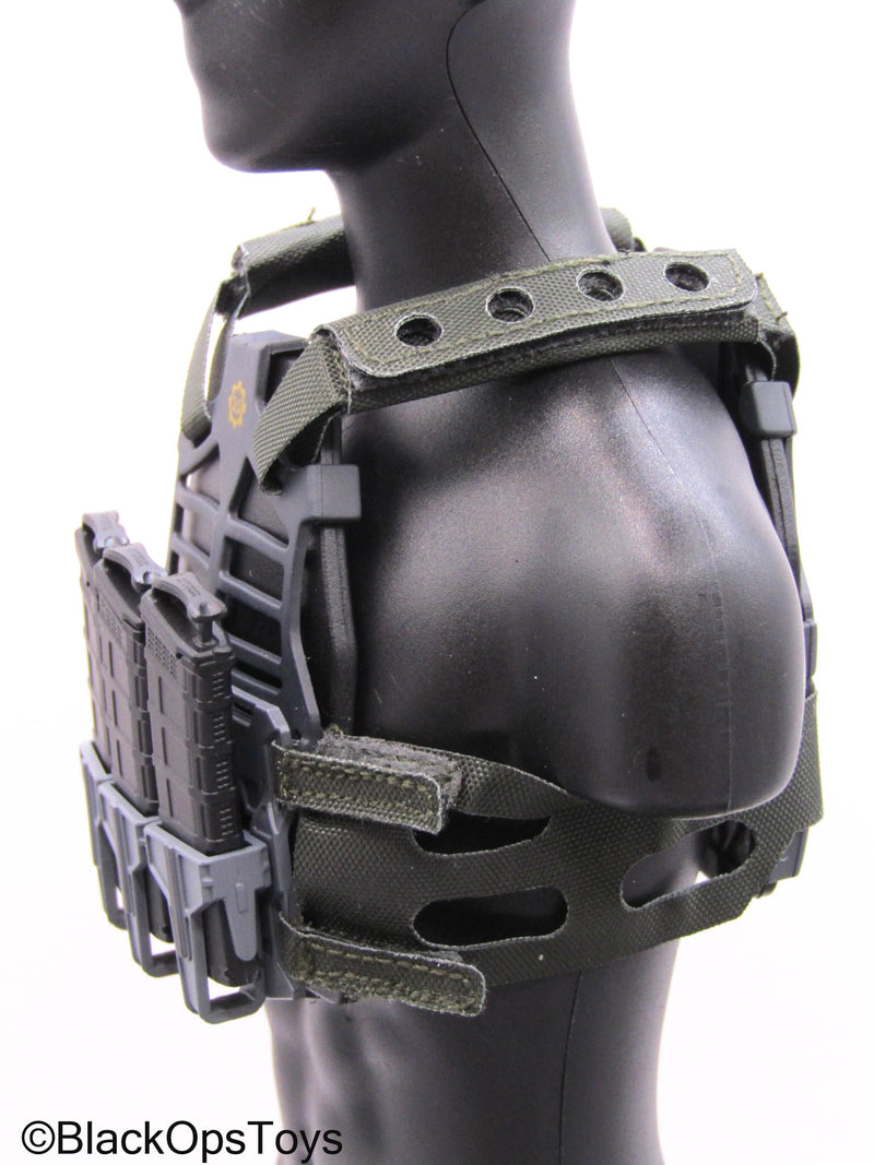 Load image into Gallery viewer, PMC - Grey MOLLE Body Armor w/Mags
