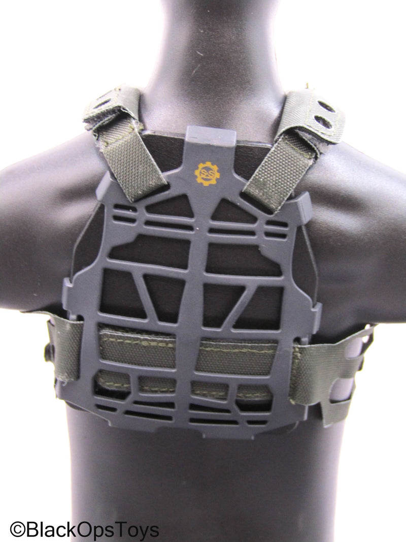 Load image into Gallery viewer, PMC - Grey MOLLE Body Armor w/Mags
