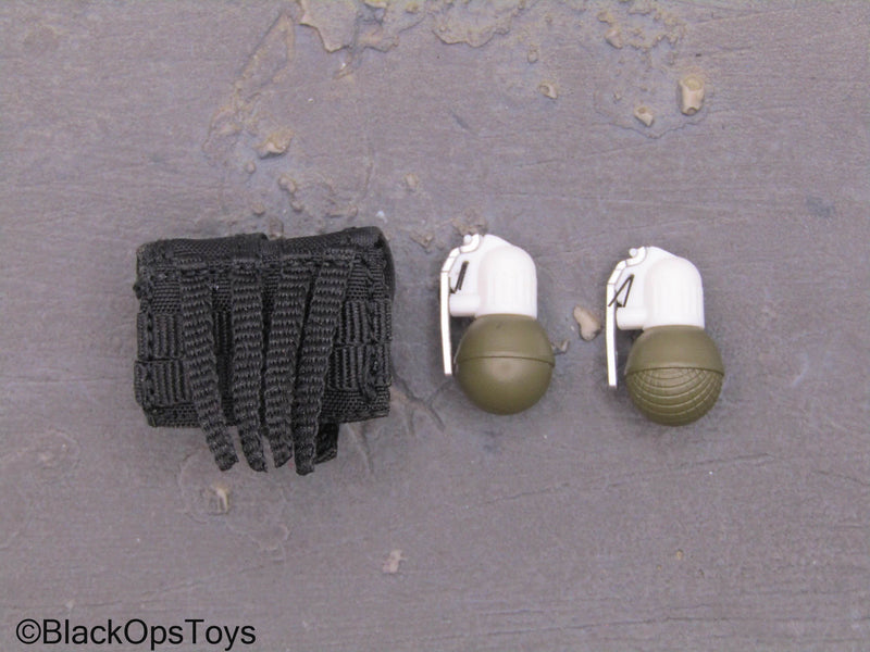 Load image into Gallery viewer, Russian Spetsnaz MVD SOBR - Frag Grenades w/Black MOLLE Pouch
