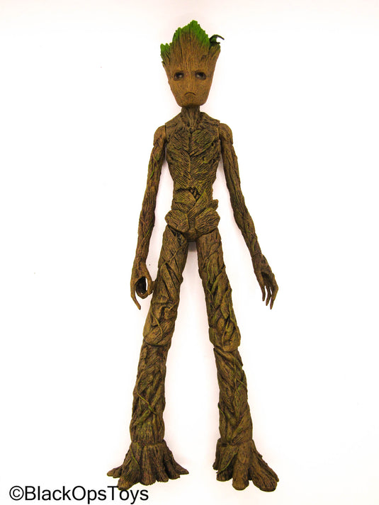 Guardians Of The Galaxy - Teen Groot