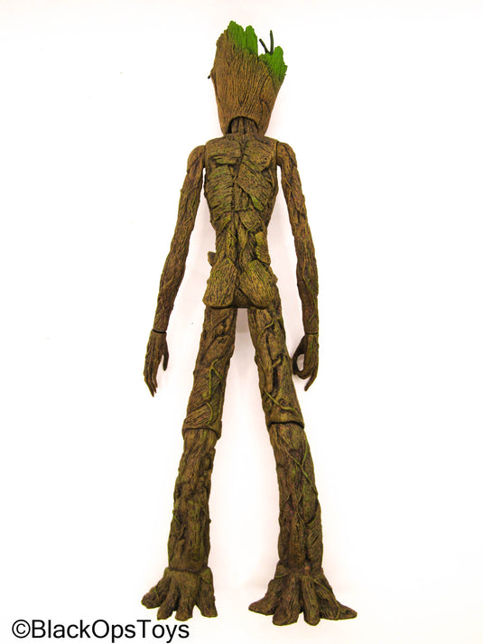 Guardians Of The Galaxy - Teen Groot