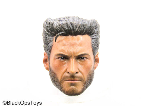 Custom Painted Wolverine Head Sculpt