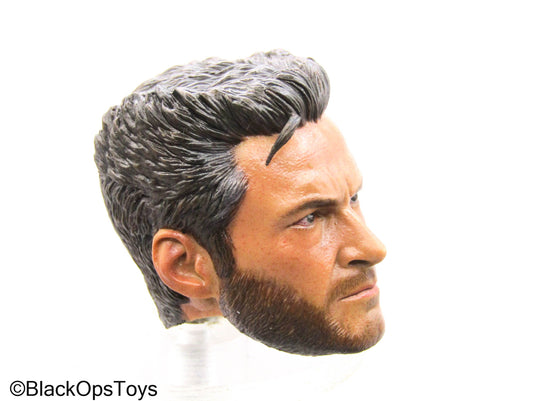 Custom Painted Wolverine Head Sculpt