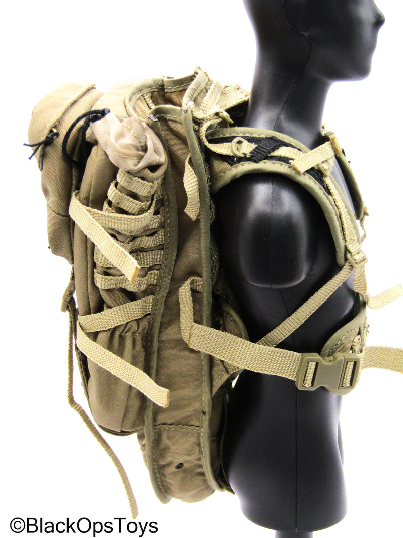 Load image into Gallery viewer, 101st Airborne Div. - Tan MOLLE Eberlestock Backpack
