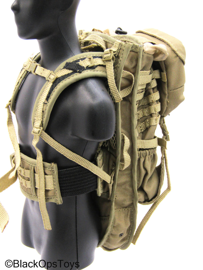 Load image into Gallery viewer, 101st Airborne Div. - Tan MOLLE Eberlestock Backpack
