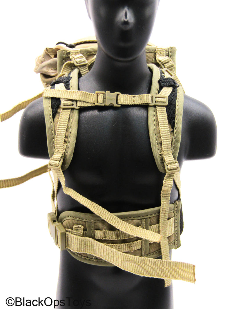 Load image into Gallery viewer, 101st Airborne Div. - Tan MOLLE Eberlestock Backpack
