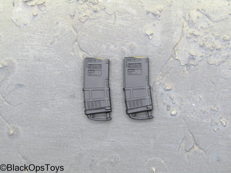 Load image into Gallery viewer, PMC Weapon Set F Ver. A - 20rd Magazines (x2)
