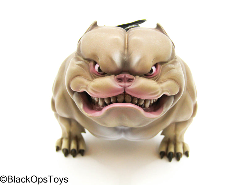 Load image into Gallery viewer, Poker Kingdom LTD - Nell - Tan Bulldog w/Collar &amp; Metal Chain
