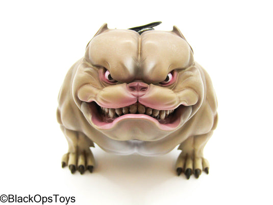 Poker Kingdom LTD - Nell - Tan Bulldog w/Collar & Metal Chain