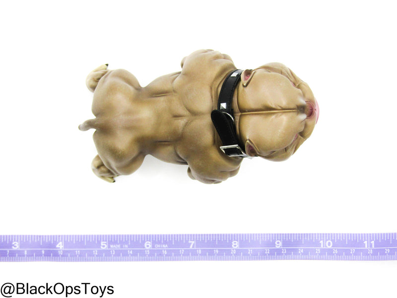 Load image into Gallery viewer, Poker Kingdom LTD - Nell - Tan Bulldog w/Collar &amp; Metal Chain
