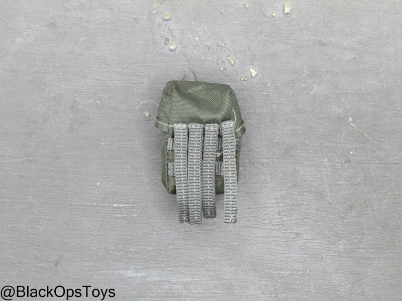 Load image into Gallery viewer, ZERT AMG Juggernaut - Wolf Grey MOLLE Multipurpose Pouch
