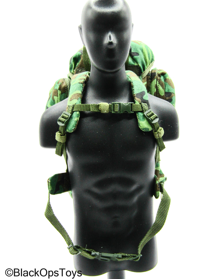 Load image into Gallery viewer, 1980 PLA - DPM Camo Backpack
