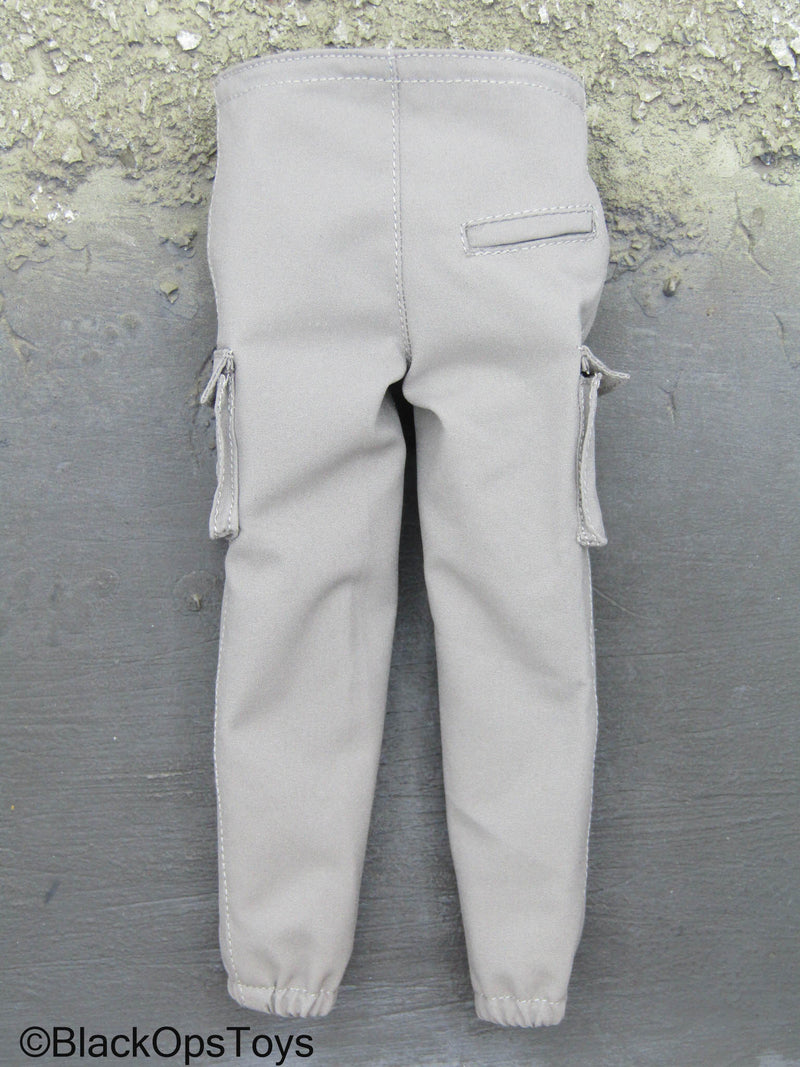 Load image into Gallery viewer, PMC Field RECCE - Grey Combat Pants
