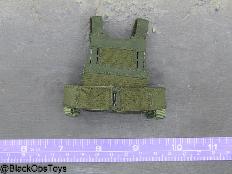 Load image into Gallery viewer, 10th SFG Reconnaissance - OD Green Plate Carrier
