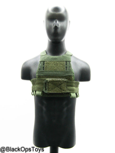 10th SFG Reconnaissance - OD Green Plate Carrier