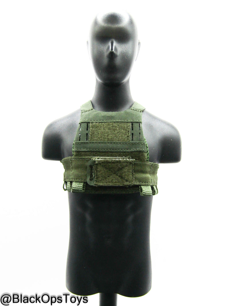 Load image into Gallery viewer, 10th SFG Reconnaissance - OD Green Plate Carrier
