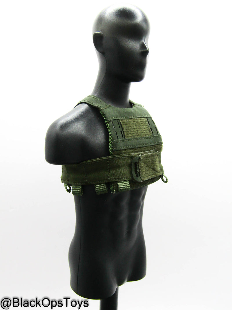 Load image into Gallery viewer, 10th SFG Reconnaissance - OD Green Plate Carrier
