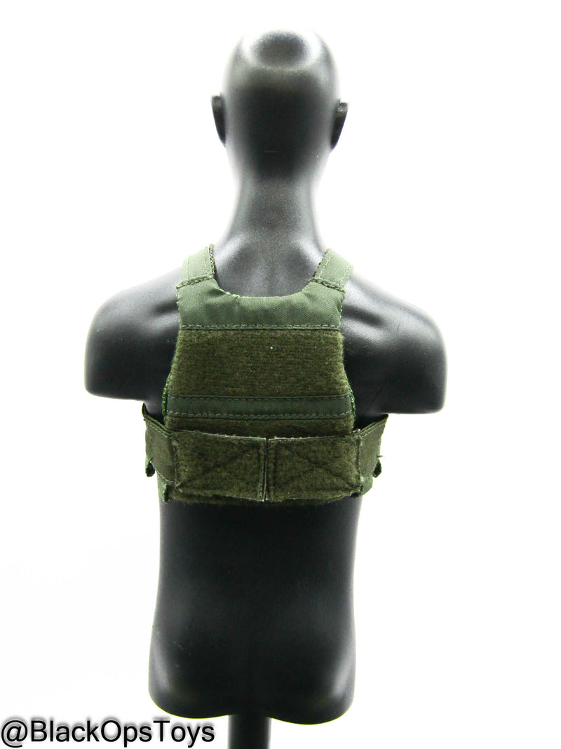 Load image into Gallery viewer, 10th SFG Reconnaissance - OD Green Plate Carrier
