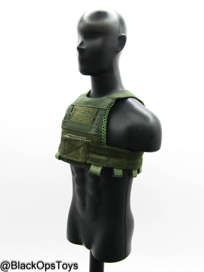 Load image into Gallery viewer, 10th SFG Reconnaissance - OD Green Plate Carrier
