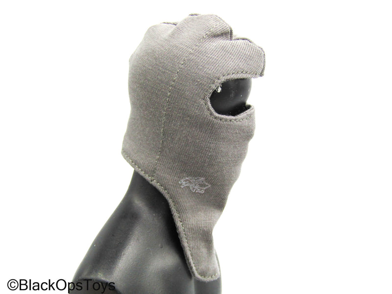 Load image into Gallery viewer, Dutch DS1 Riot Shield Version - Grey Balaclava
