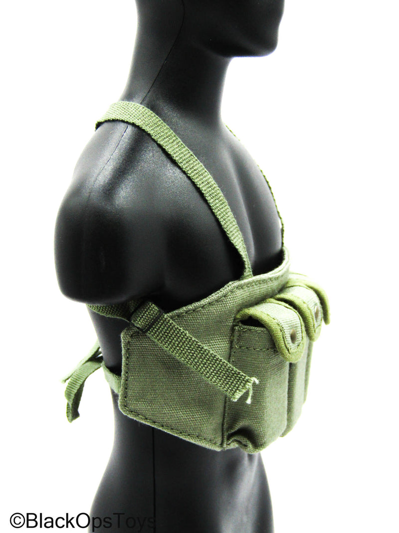 Load image into Gallery viewer, Vietnam MACV-SOG - Green Chest Rig w/5.56 Magazines
