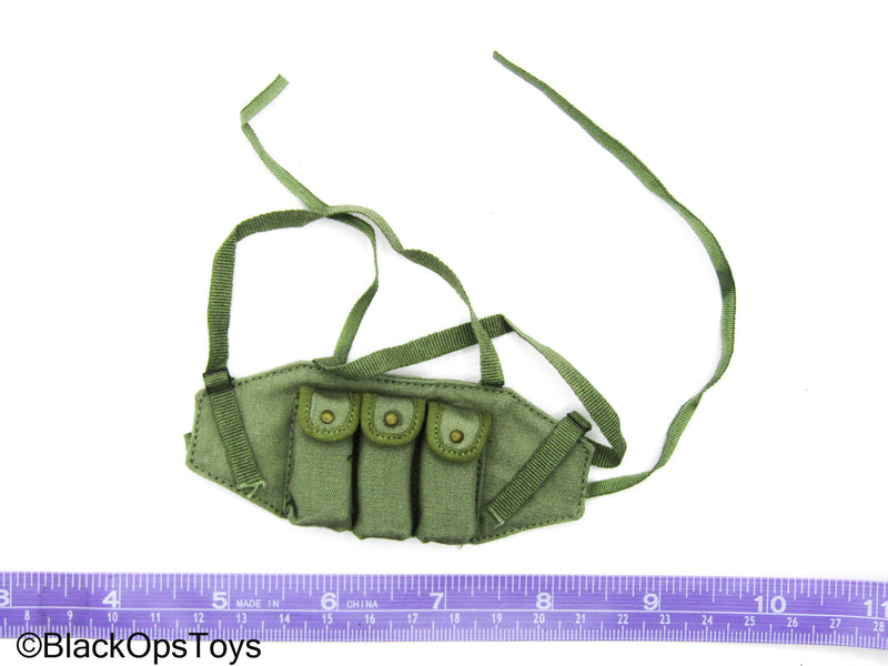 Load image into Gallery viewer, Vietnam MACV-SOG - Green Chest Rig w/5.56 Magazines
