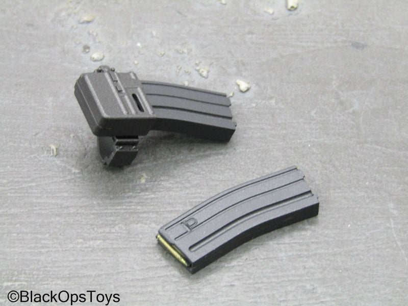 Load image into Gallery viewer, Delta Force SMU Tier 1 Op. A - 5.56 Magazines w/Holster
