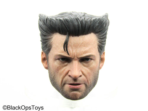 X-Men Days Of Future Past 1973 Wolverine - Male Head Sculpt