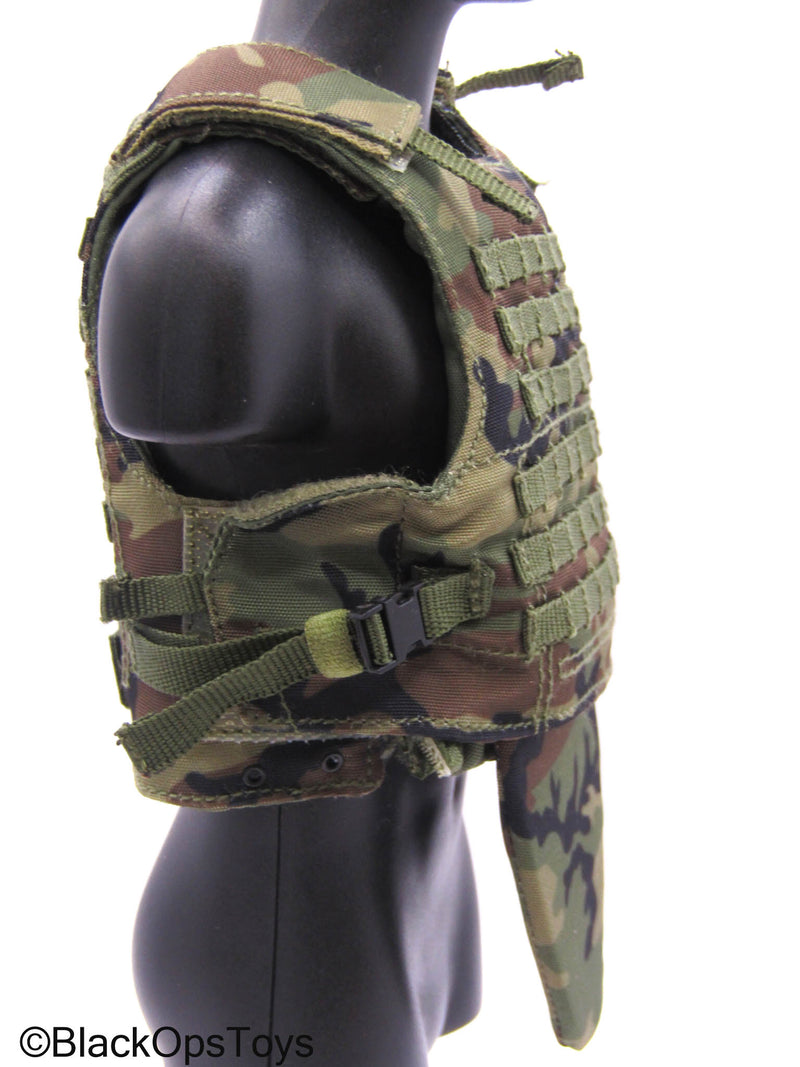 Load image into Gallery viewer, 75th Ranger Regiment Airborne Ltd. - Woodland Camo Plate Carrier
