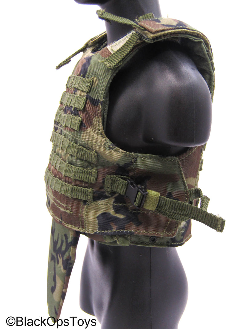 Load image into Gallery viewer, 75th Ranger Regiment Airborne Ltd. - Woodland Camo Plate Carrier
