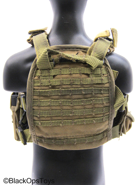 Coyote Tan MOLLE Plate Carrier Vest w/Gear & Pouch Set