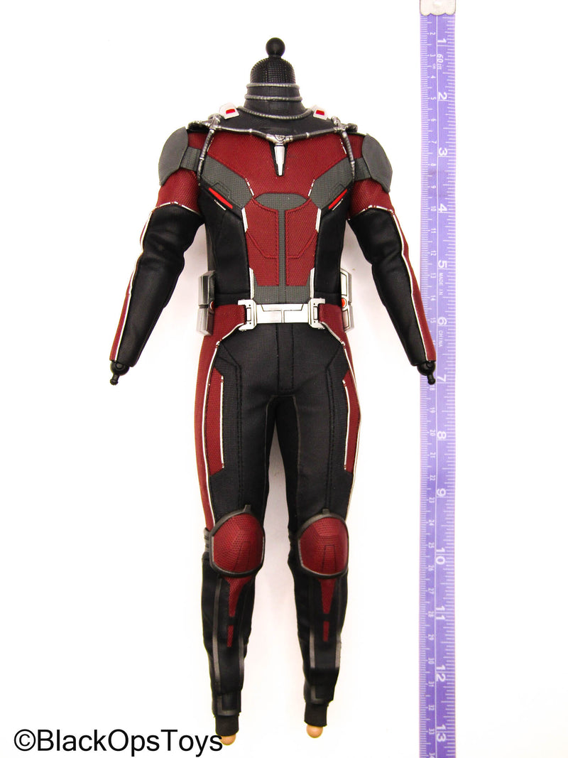 Load image into Gallery viewer, Civil War - Ant Man - Male Base Body w/Red Detailed Body Suit
