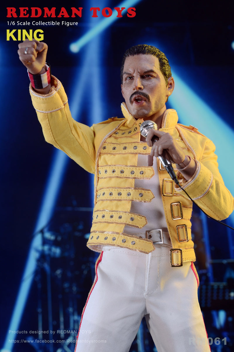 Load image into Gallery viewer, The Rock Band King - Freddy Mercury - MINT IN BOX
