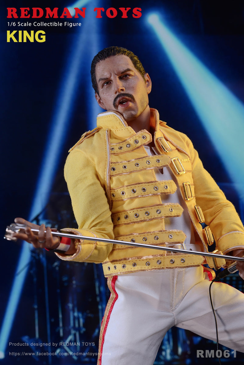 Load image into Gallery viewer, The Rock Band King - Freddy Mercury - MINT IN BOX
