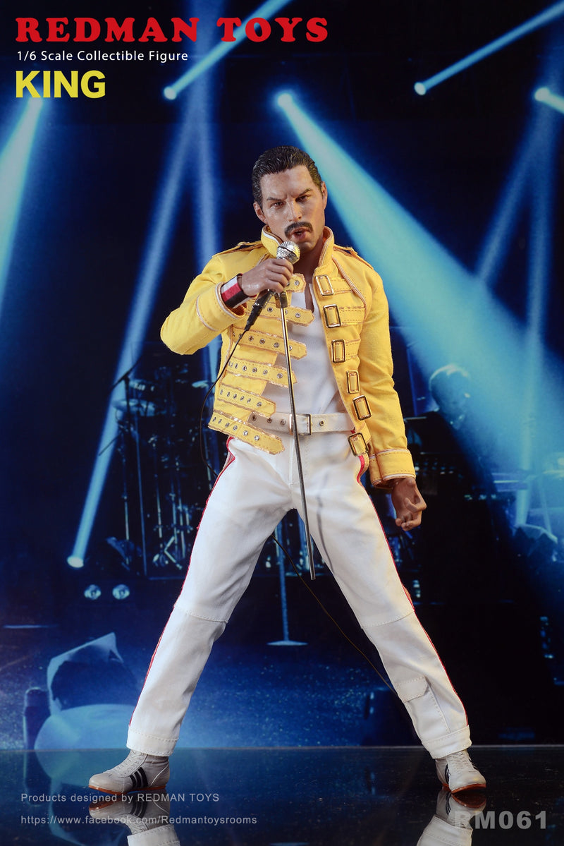 Load image into Gallery viewer, The Rock Band King - Freddy Mercury - MINT IN BOX
