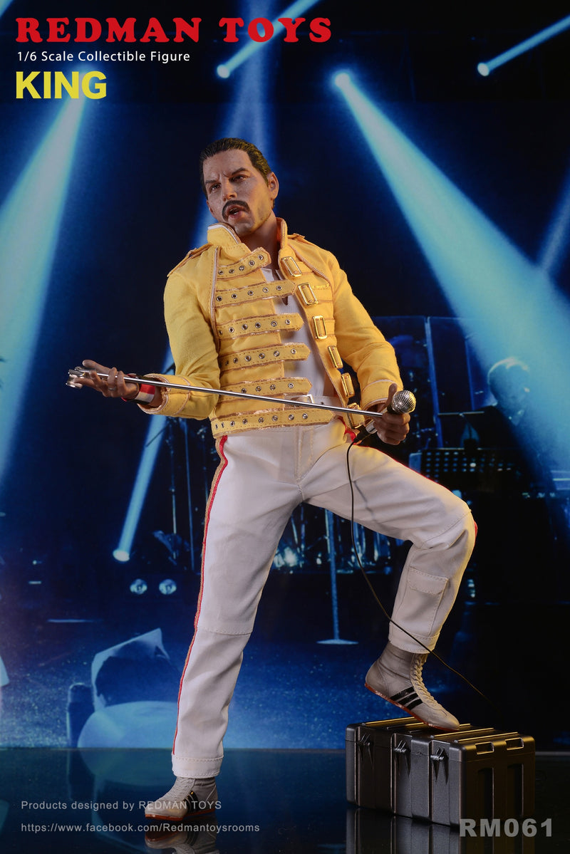 Load image into Gallery viewer, The Rock Band King - Freddy Mercury - MINT IN BOX
