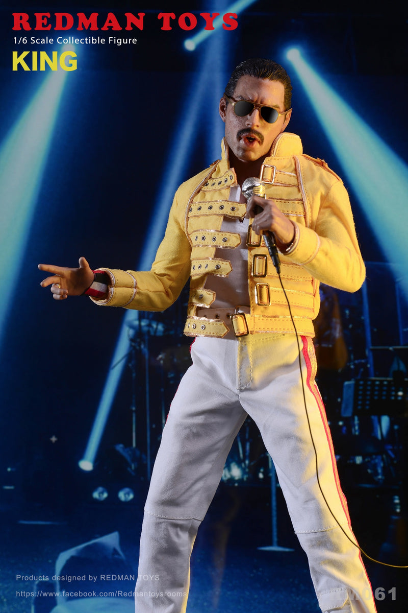 Load image into Gallery viewer, The Rock Band King - Freddy Mercury - MINT IN BOX
