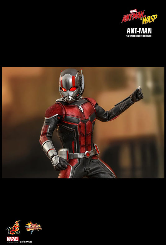 Ant Man & The Wasp Combo Pack - MINT IN BOX