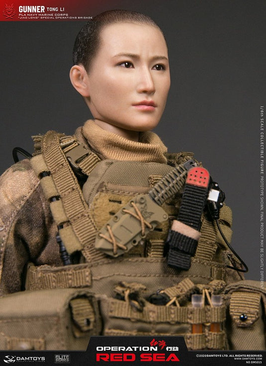 Operation Red Sea - PLA Jiaolong - MOLLE Hydration Pouch