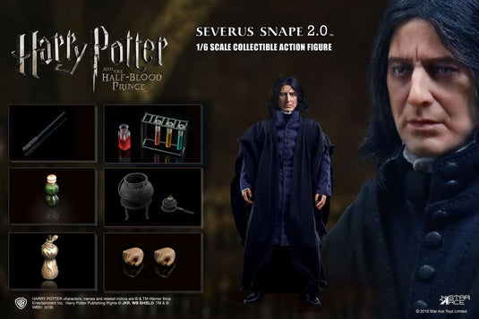 Harry Potter - Severus Snape - Wine Bottle