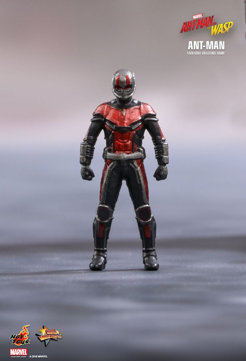 Load image into Gallery viewer, Ant Man &amp; The Wasp Combo Pack - MINT IN BOX
