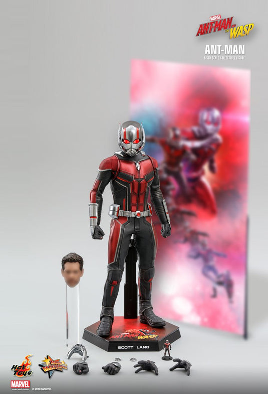 Ant Man & The Wasp Combo Pack - MINT IN BOX