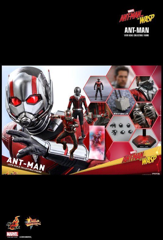 Ant Man & The Wasp Combo Pack - MINT IN BOX