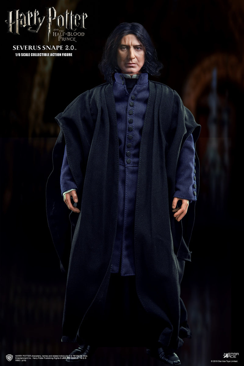 Load image into Gallery viewer, Harry Potter - Severus Snape - Wine Bottle
