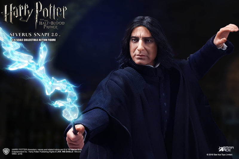 Load image into Gallery viewer, Harry Potter - Severus Snape - Wine Bottle
