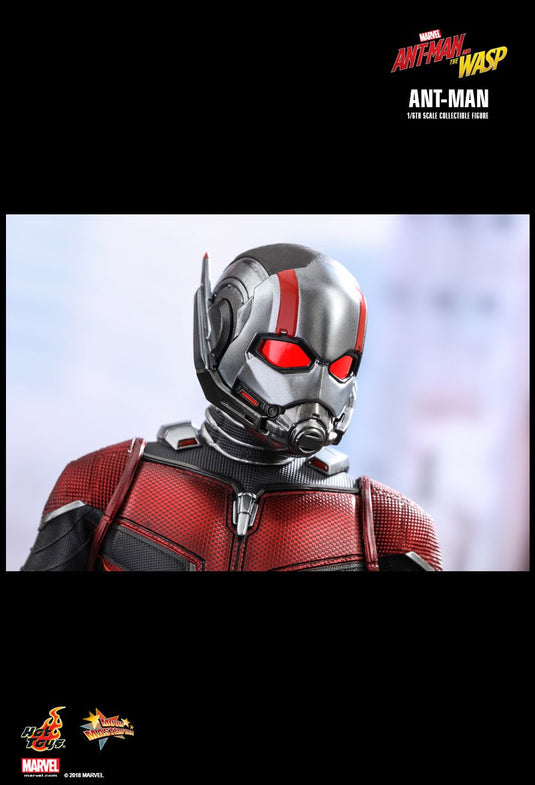 Ant Man & The Wasp Combo Pack - MINT IN BOX